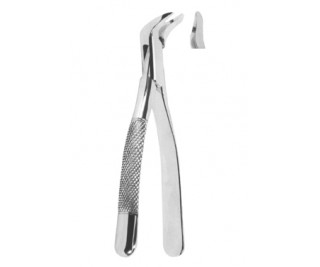 Extracting Forceps American pattern